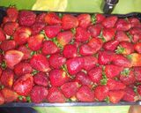 Foto del paso 2 de la receta: Batido de leche kefirada con fresas