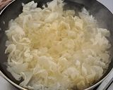 Foto langkah ke 4 dari resep Sop Es Bening.