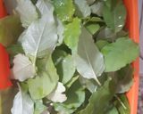 รูปขั้นตอนการทำที่ 1 ของ ไข่คนใบอ่อมแซ่บ Chinese Violets Scrambled eggs on Toast