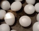 Egg Snacker