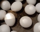 A picture of step 1 of Egg Snacker.