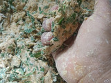 મીની મેથી મસાલા ભાખરી (Mini Methi Masala Bhakhari Recipe In Gujarati)