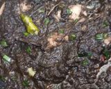 Foto langkah ke 5 dari resep Cumi Bumbu Hitam.
