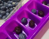 Foto del paso 1 de la receta: Agua y/o jugo de arándanos