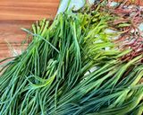 Foto del passaggio 8 della ricetta 109 • Agretti saporiti (se famo du’ spaghi??? 😄)