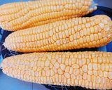 Hình bước làm 3 của món Chả bắp chiên