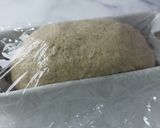 A picture of step 6 of [Low Oil, Low Sugar] No-Knead Vegan Rye Bread.
