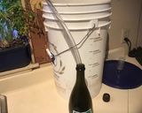 A picture of step 2 of California Farm Rhubarb Juice.