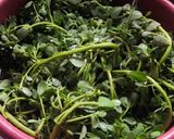 Foto del paso 1 de la receta: Verdolagas con chile morita