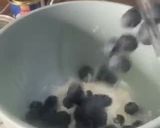 صورة لخطوة 3 من وصفة ميني ماڤن بالتوت الأزرق