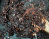 A picture of step 5 of Coconuts and dates ladoo.