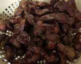 Dodo gizzardmatakin girki1 hoto