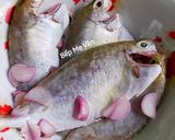 Hình bước làm 1 của món Canh cá kình nấu thơm
