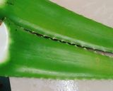 Hình bước làm 1 của món Chè đậu xanh bí đao nha đam