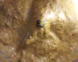 Peri peri chicken রেসিপির ধাপ 2 ছবি