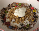 Foto del paso 2 de la receta: Yogur griego con muesli, semillas y coco