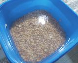 Foto del paso 1 de la receta: Cazuela de Lentejas