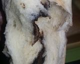 Foto langkah ke 10 dari resep Roti Sobek.