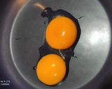 Diós aranygaluska vanília öntettel recept fázis 8 fotója