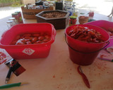 Foto del paso 1 de la receta: Tomate en conserva