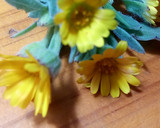 Foto del paso 1 de la receta: Ensalada verde