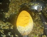 अदरक लहसुन की मलाई वाली सब्ज़ी (Adrak lahsun ki malai wali sabzi recipe in hindi) रेसिपी चरण 2 फोटो