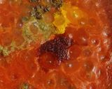 A picture of step 6 of Vegetable Spaghetti.