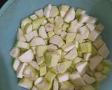 ગલકા ગાંઠિયા નું શાક (Galka Ganthiya Shak Recipe In Gujarati) રેસીપી સ્ટેપ1ફોટો