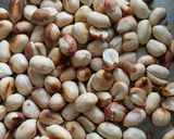 मिर्च का ठेचा (Mirch ka thecha recipe in hindi) रेसिपी चरण 1 फोटो