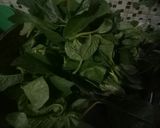 Foto langkah ke 2 dari resep Tumis bayam tanah(berkuah).