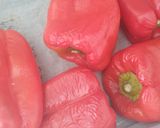 Foto del paso 2 de la receta: 🌶️ Zorongollo 🍅🧅