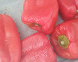 Foto del paso 2 de la receta: 🌶️ Zorongollo 🍅🧅