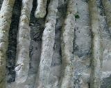 Foto del paso 5 de la receta: Ñoquis Integrales de Verdura