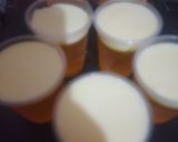 Foto del paso 7 de la receta: Gela Cerveza🍺🍺😍