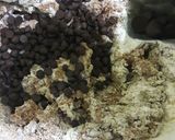 Foto langkah ke 3 dari resep Choco oat cookies.