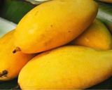 A picture of step 1 of Tota puri Mango Salsa.