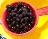Foto del passaggio 2 della ricetta Vino di mirto