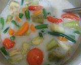 Foto langkah ke 5 dari resep Sayur Lodeh Bumbu "Racik" Instan.