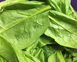 Foto del paso 2 de la receta: Pechuga rellena -