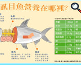 虱目魚海帶芽湯(簡單料理)的食譜步驟10照片