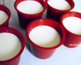 【草莓盆栽奶酪】的食譜步驟2照片