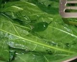 Foto langkah ke 1 dari resep Tumis Daun Pepaya & Teri Medan (pedas manis).