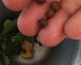 Ginger-Tulsi (Basil)Tea recipe step 2 photo