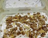 Foto langkah ke 4 dari resep Blueberry ice cream + cincangan nanas, kiwi n kismis.
