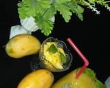 Mango fizz recipe step 1 photo