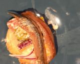 Foto del paso 7 de la receta: Ensalada de tomate y nectarina con bonus track de anchoa