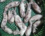Foto langkah ke 1 dari resep Cumi Huluk.