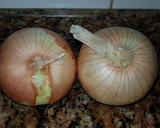 Foto del paso 2 de la receta: Rodaballo al horno