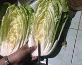 Foto langkah ke 3 dari resep Easy Traditional Kimchi (korean side dish).