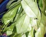 Foto langkah ke 1 dari resep Tumis daun gingseng jawa.